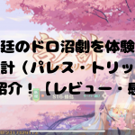 宮廷のドロ沼劇を体験！『宮ノ計（パレス・トリック）』をご紹介！【レビュー・感想】